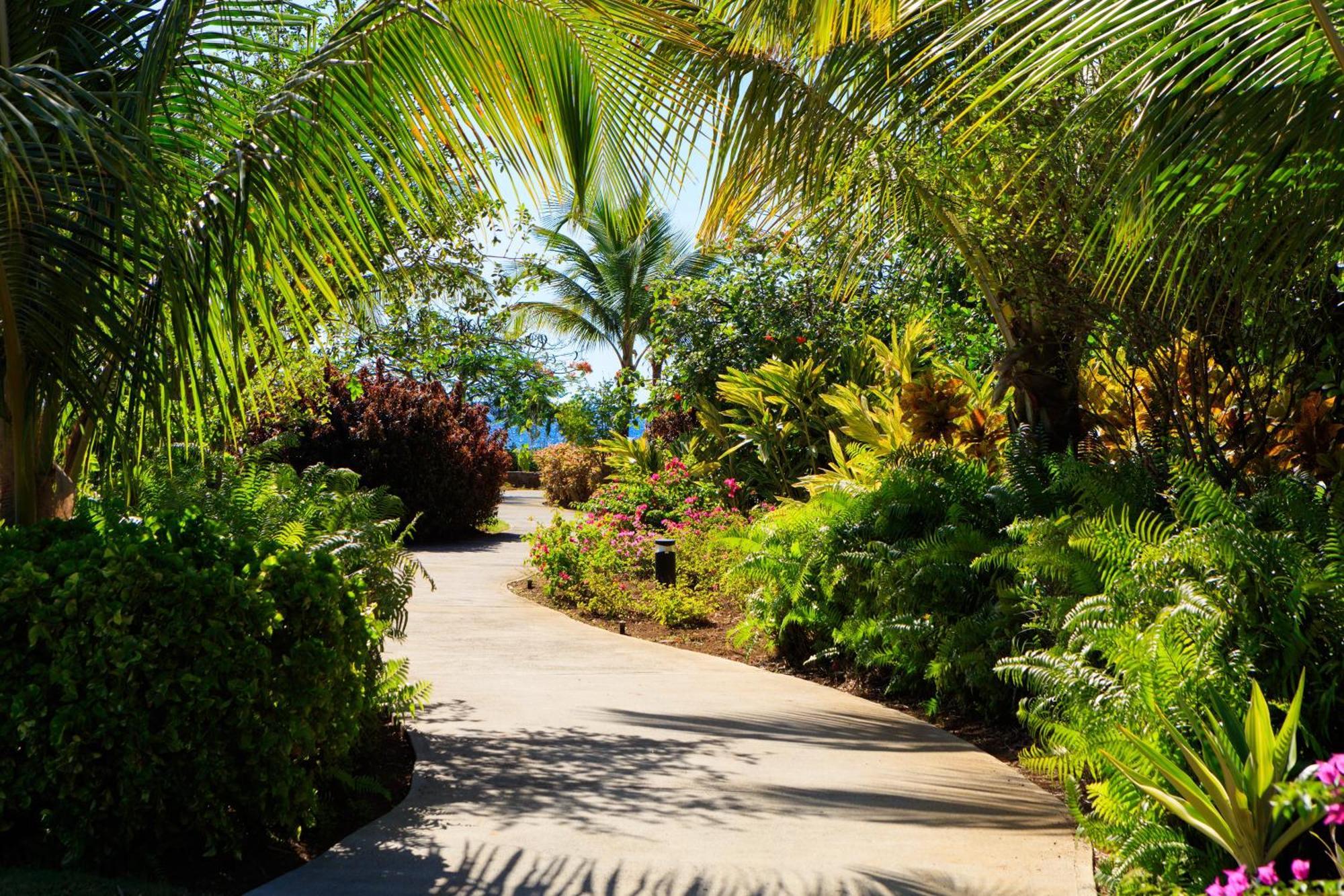 Intercontinental Dominica Cabrits Resort & Spa, An Ihg Hotel Portsmouth Exterior photo